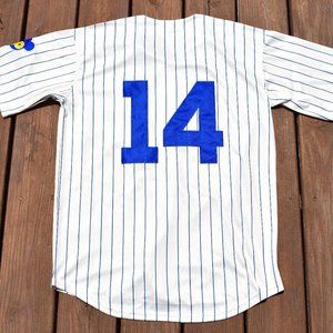 New! Ernie Banks Chicago Cubs Cream Pinstripe Baseball Jersey Adult Men's Sizes